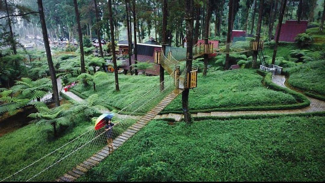 instagram.com/hutanpinuslimpakuwuss