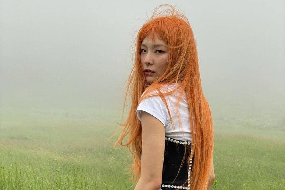 instagram.com/hi_sseulgi