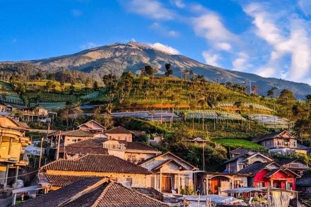 instagram.com/mangliskyview