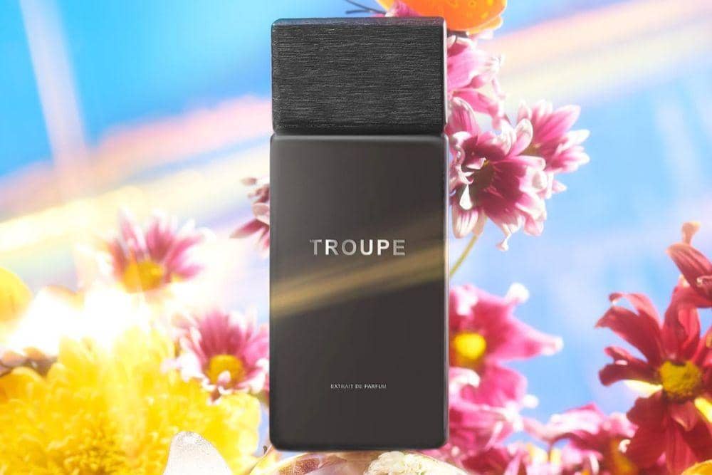 instagram.com/saffnco