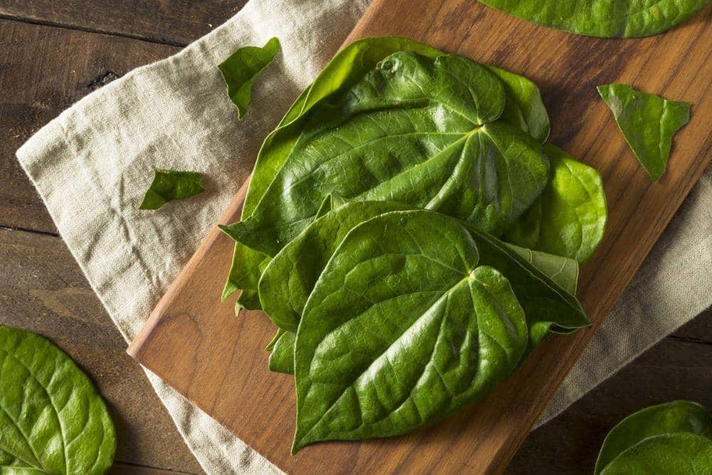 economictimes.indiatimes.com