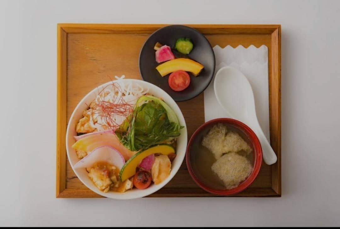 Google Pictures/Saido