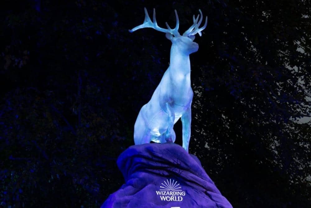 Instagram.com/hpforbiddenforestexperience