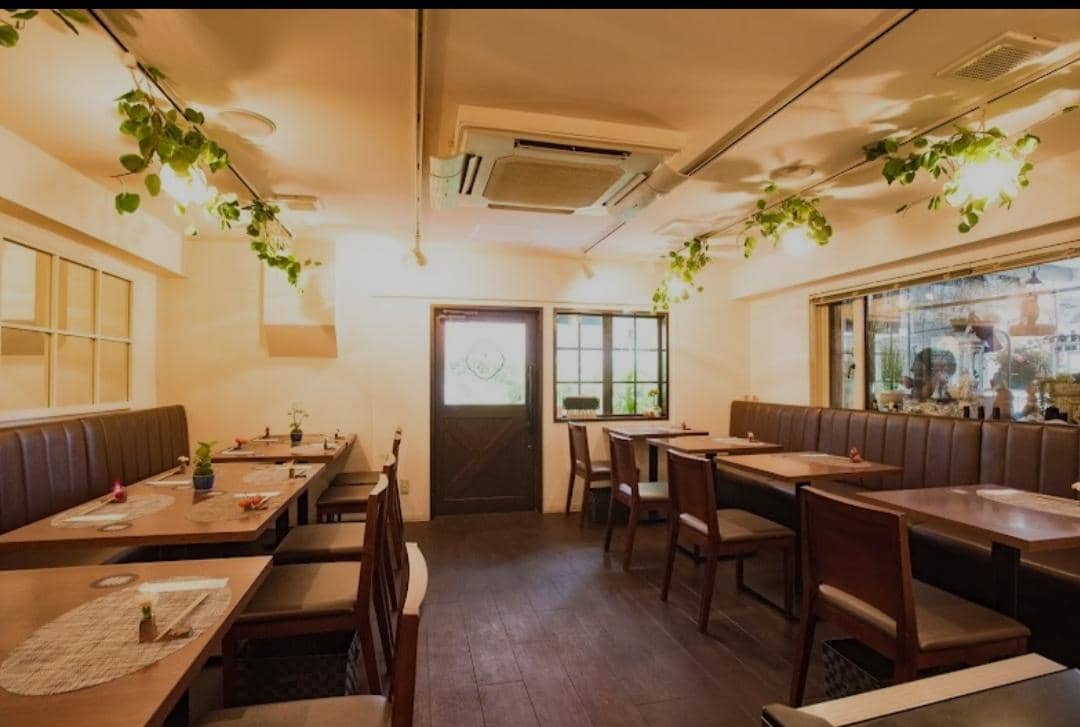 Google Pictures/Saido