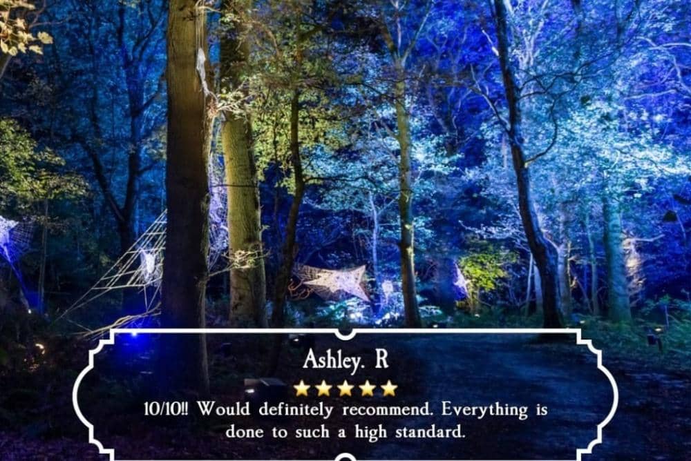 Instagram.com/hpforbiddenforestexperience