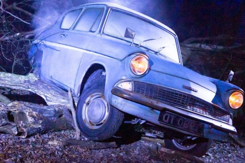 Instagram.com/hpforbiddenforestexperience