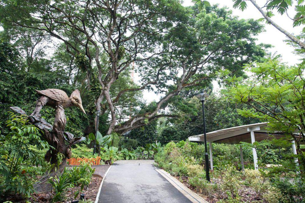 Singapore Botanic Gardens, Wisata Edukasi di Taman Tropis