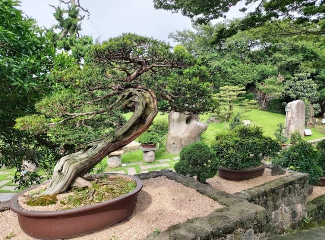 Dok. Google Pictures