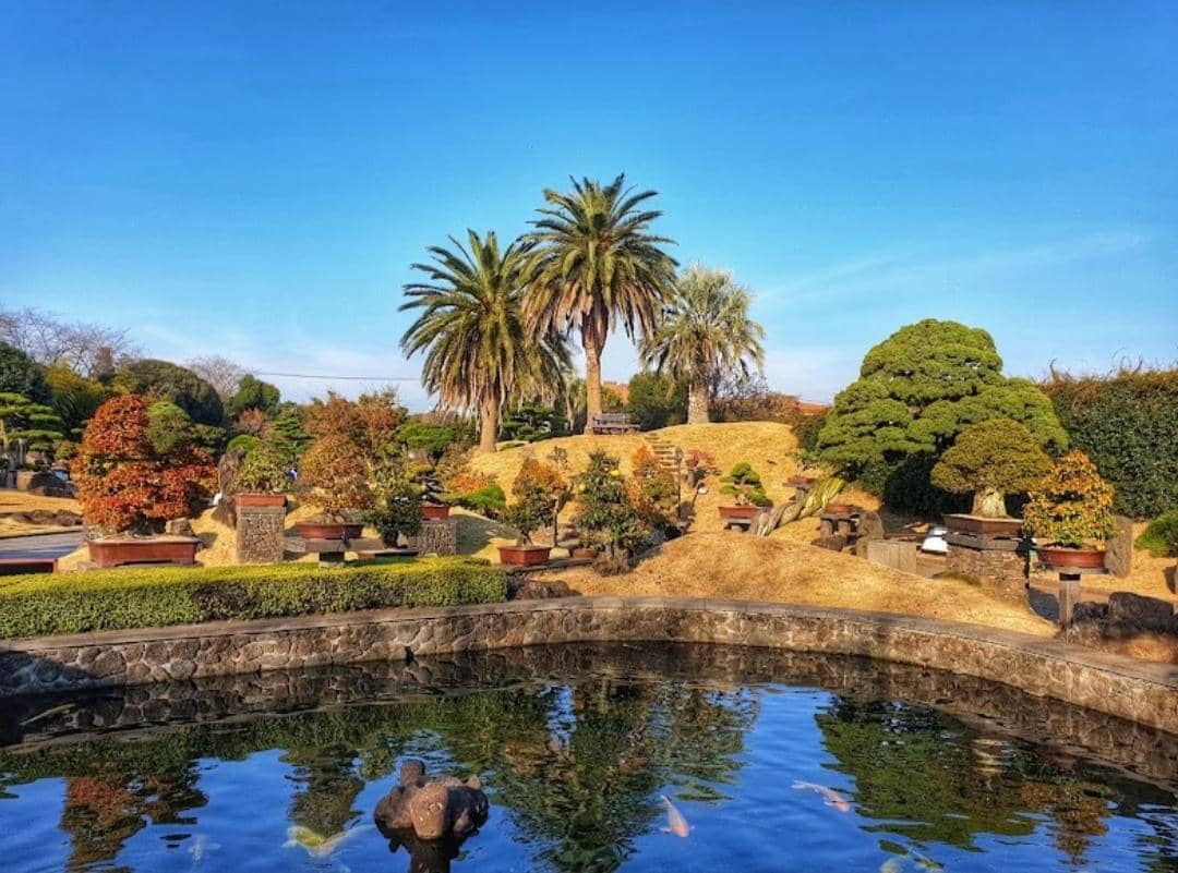 Dok. Google Pictures