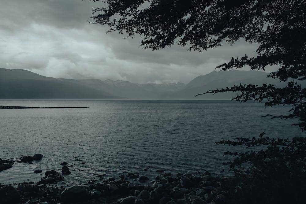 pexels.com/gaspar-zaldo