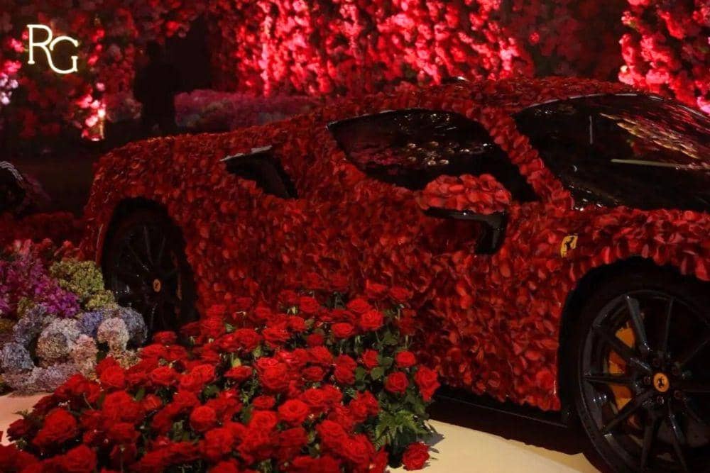 instagram.com/majestichocuspocus