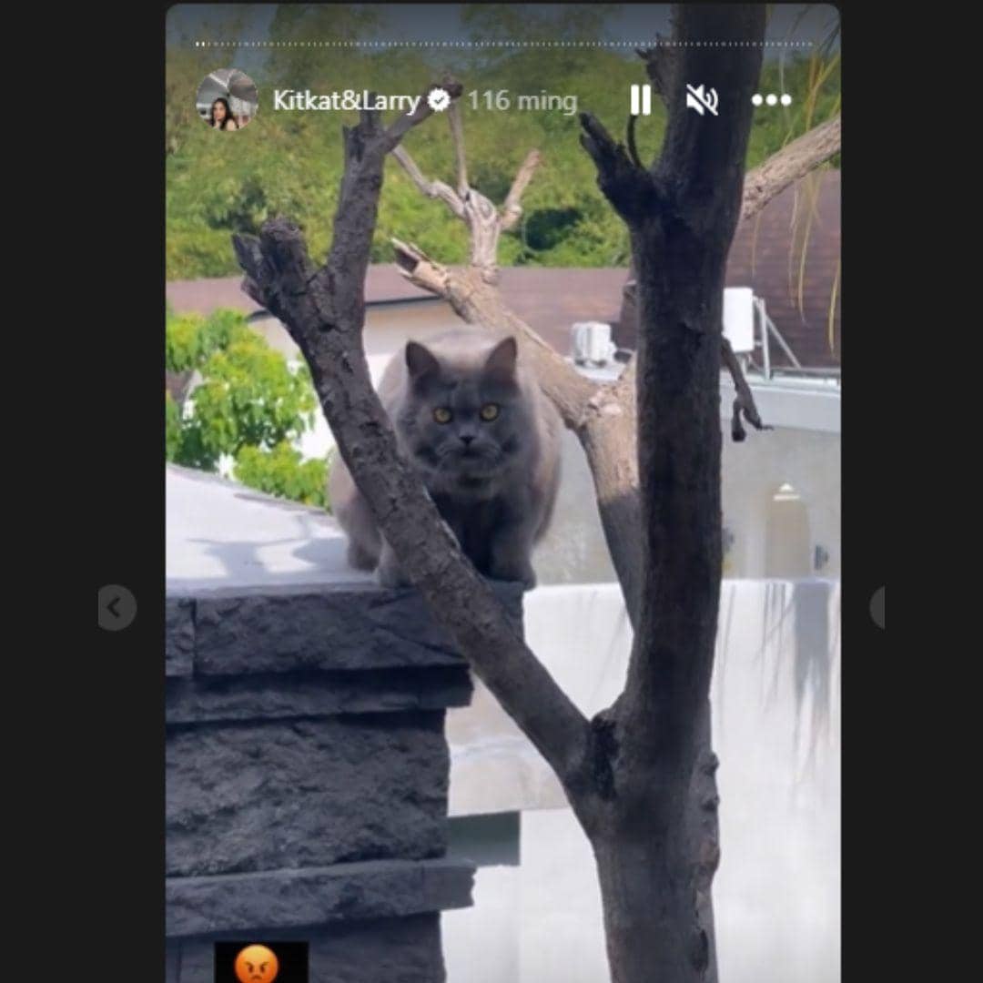 instagram.com/salmafinasunan