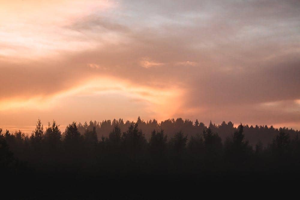 pexels.com/danila-popov