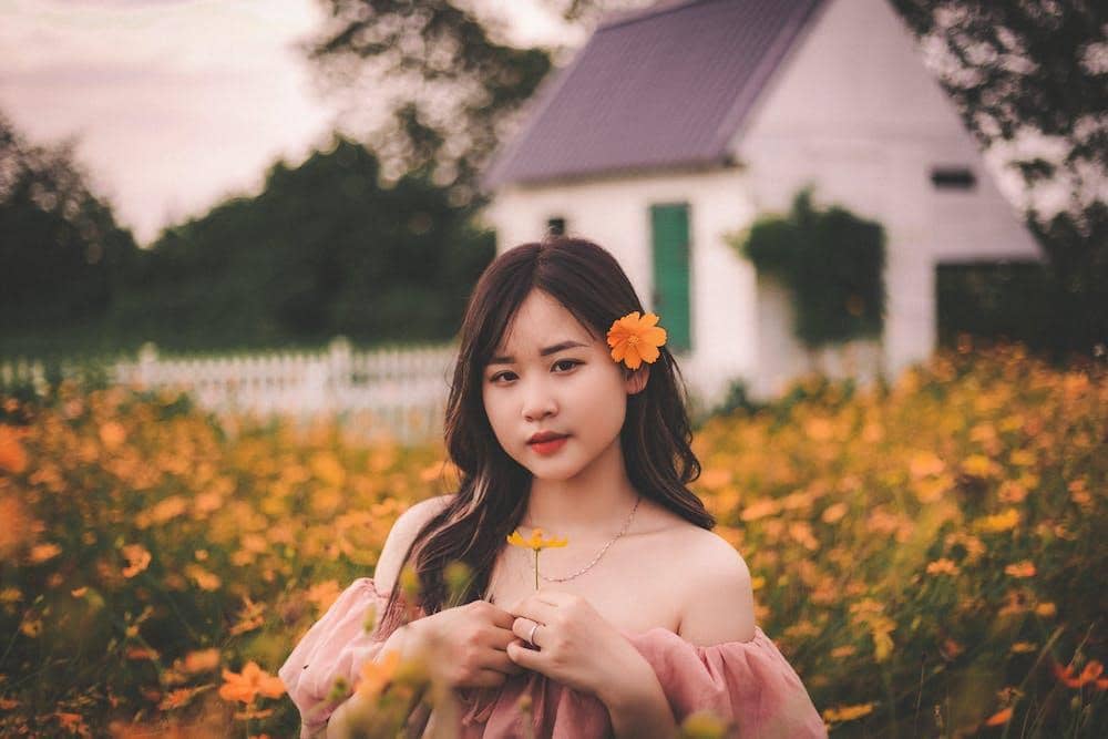 pexels.com/toàn-văn