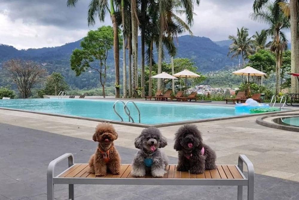 instagram.com/the_3poosisters