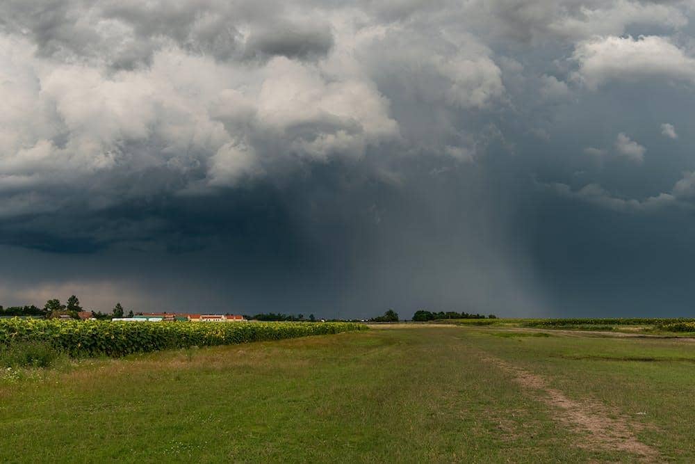 pexels.com/péter-kövesi