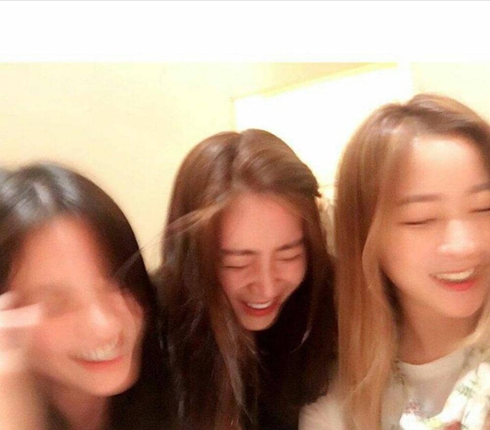 twitter.com/piteryen