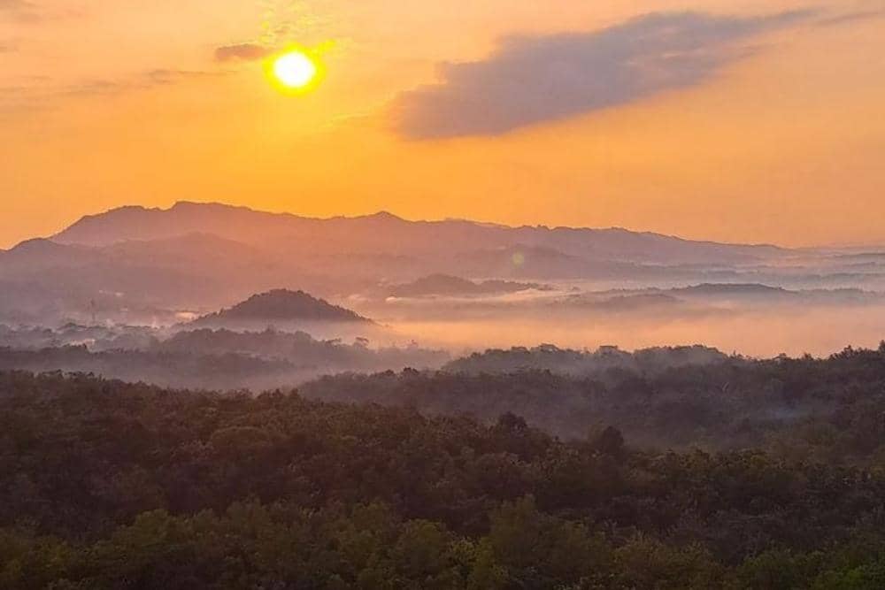 Instagram.com / nareees