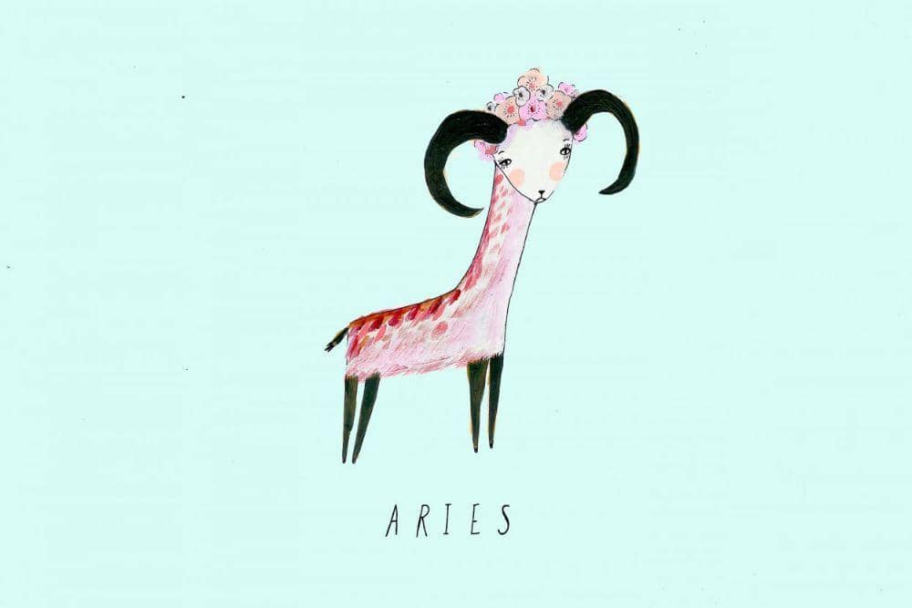 Trendland.com/Katy Smail