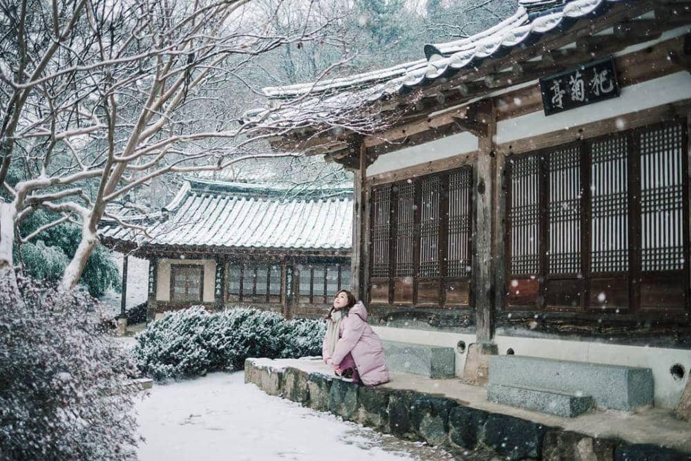 Instagram.com/sistercamera95