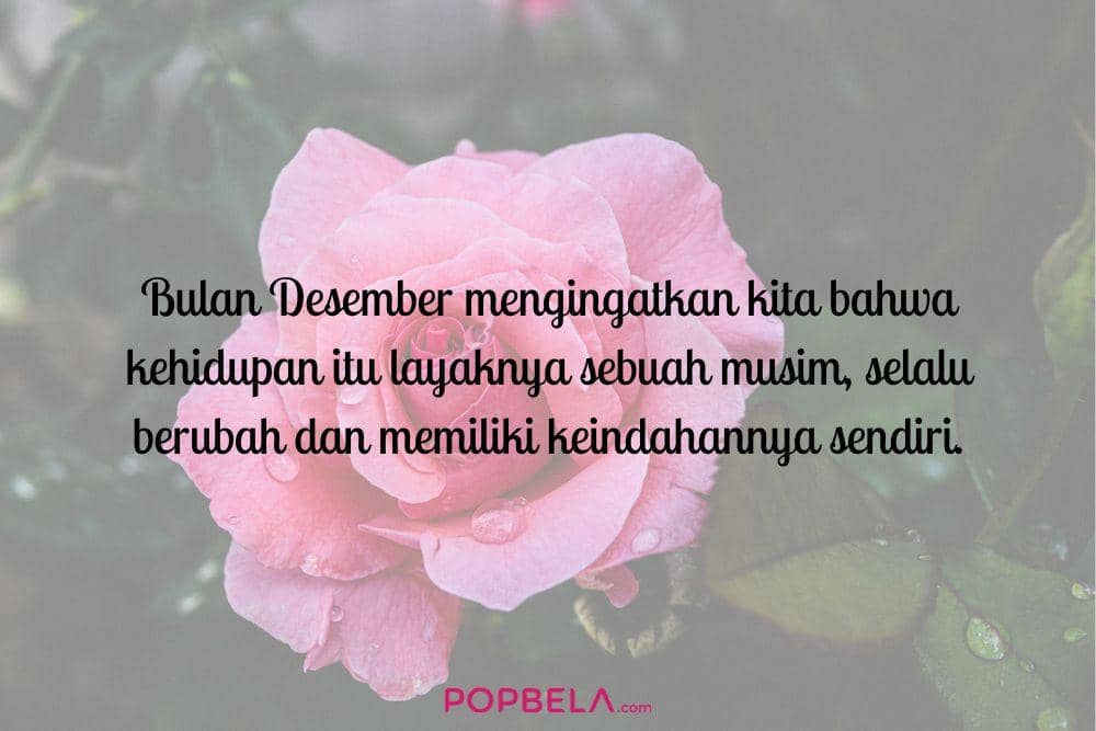 Unsplash.com, edited by Niken Ari