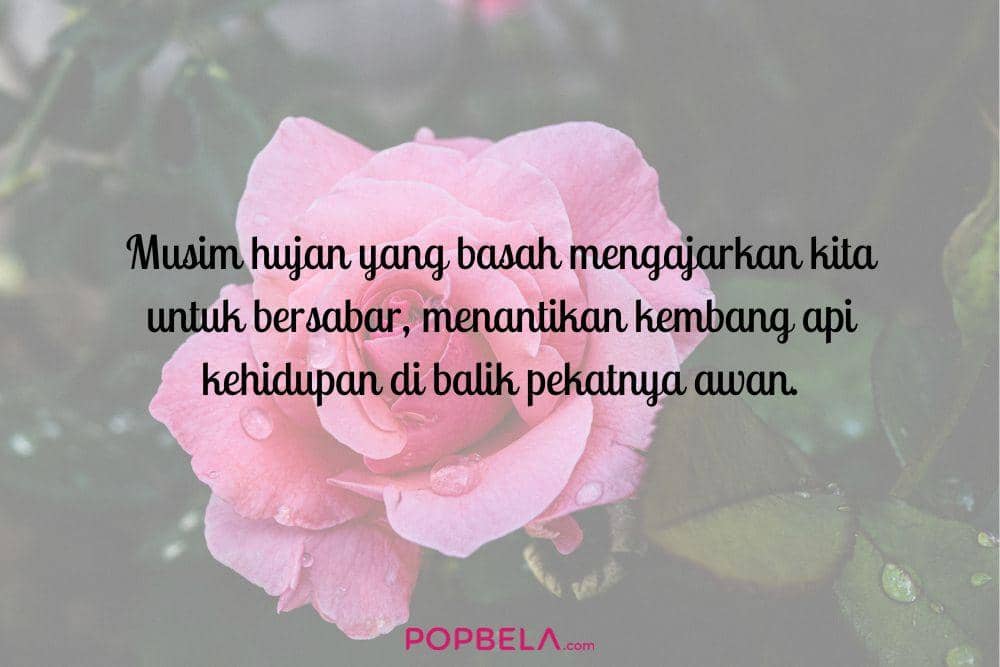 Unsplash.com, edited by Niken Ari