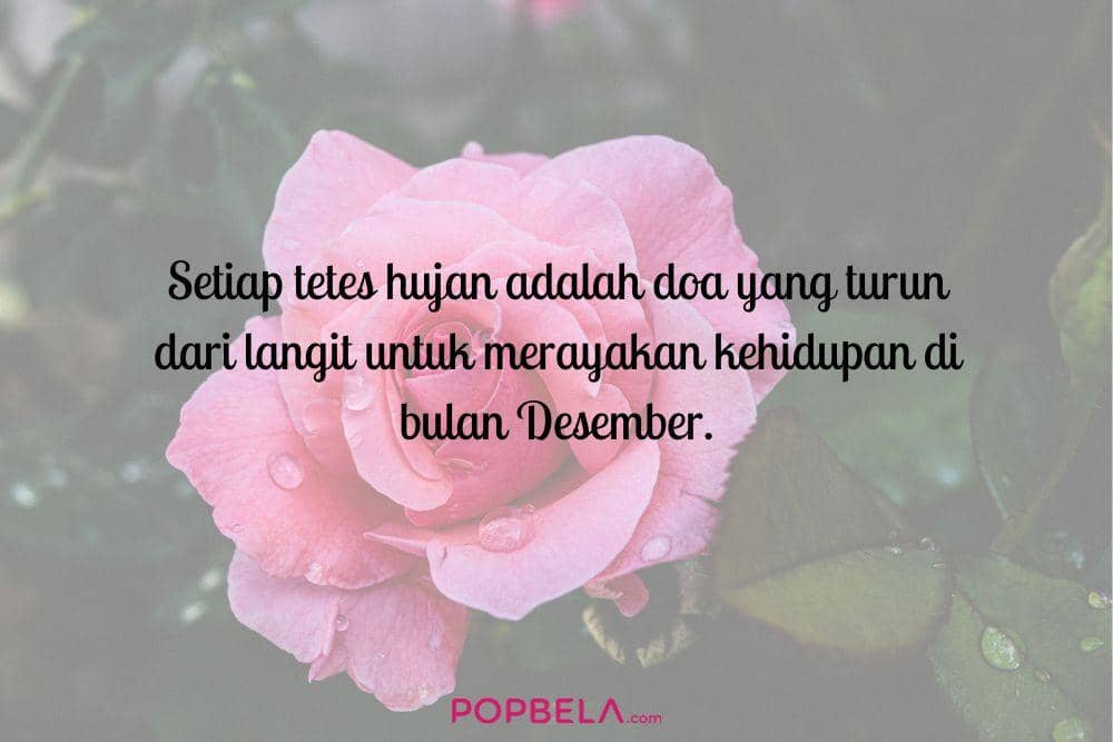 Unsplash.com, edited by Niken Ari