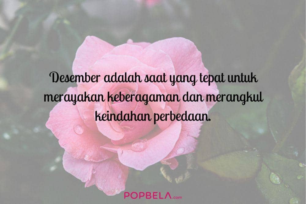 Unsplash.com, edited by Niken Ari