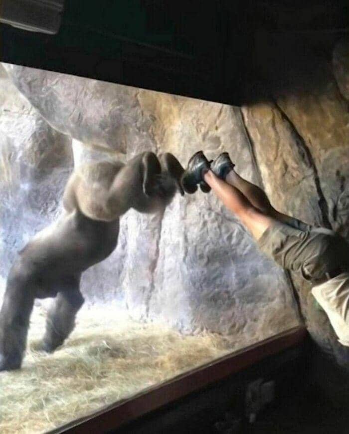 instagram.com/iamcringeok