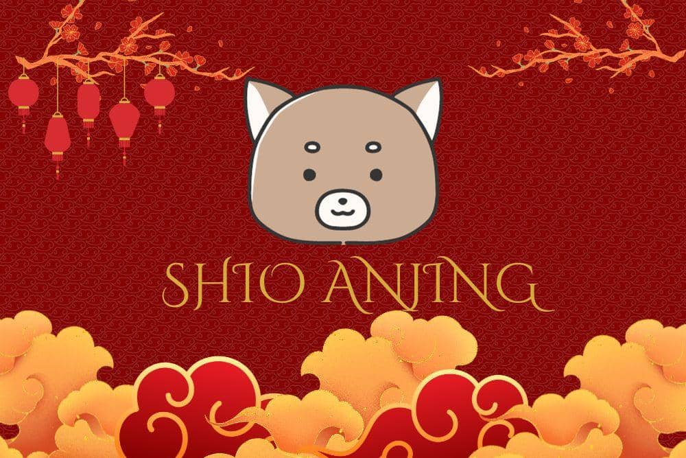 Canva.com/Andhina Effendi