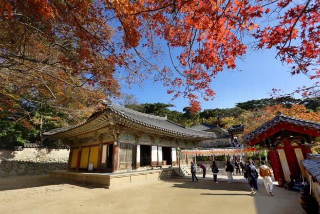 english.visitkorea.or.kr