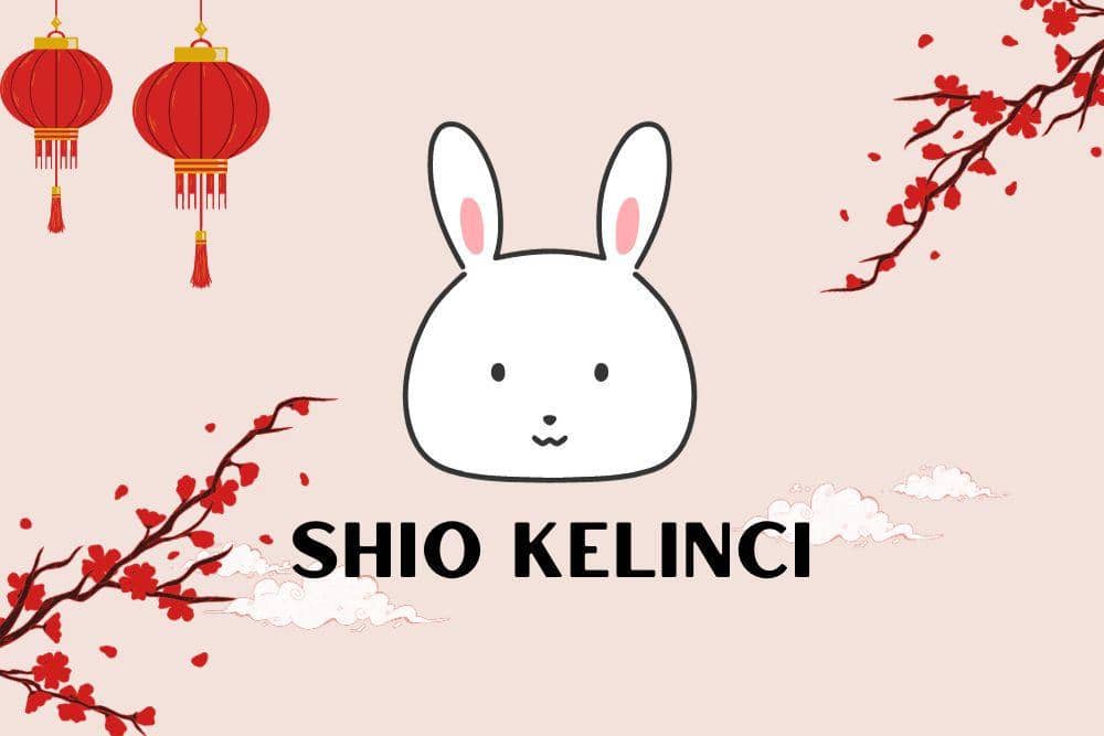 Canva.com/Andhina Effendi