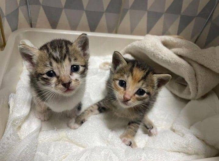 Instagram.com/wearebrico