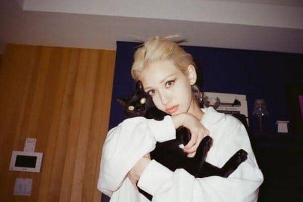 Instagram.com/zorro__the_cat