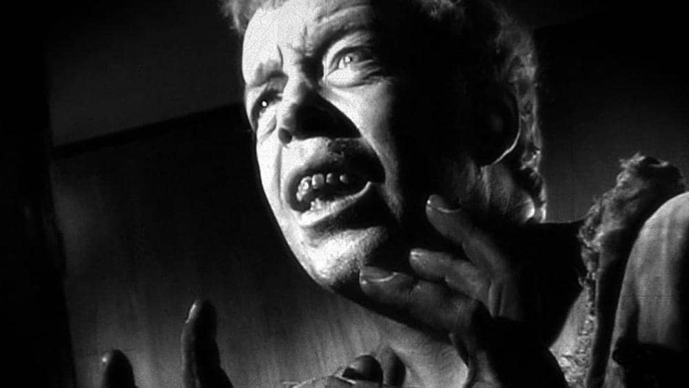 Dok. Microcinema International