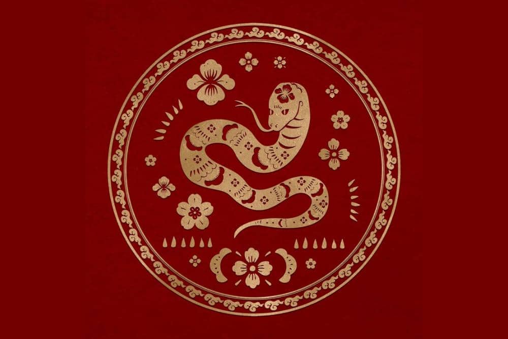 Freepik.com/rawpixels-com