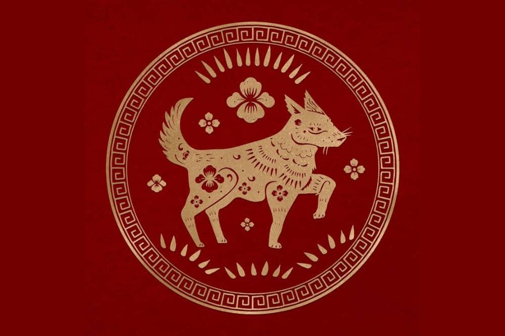 Freepik.com/rawpixels-com