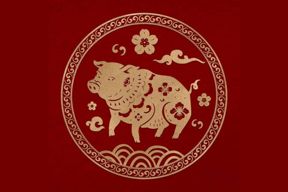 Freepik.com/rawpixels-com