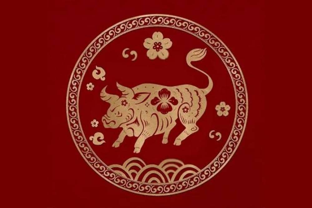 Freepik.com/rawpixels-com