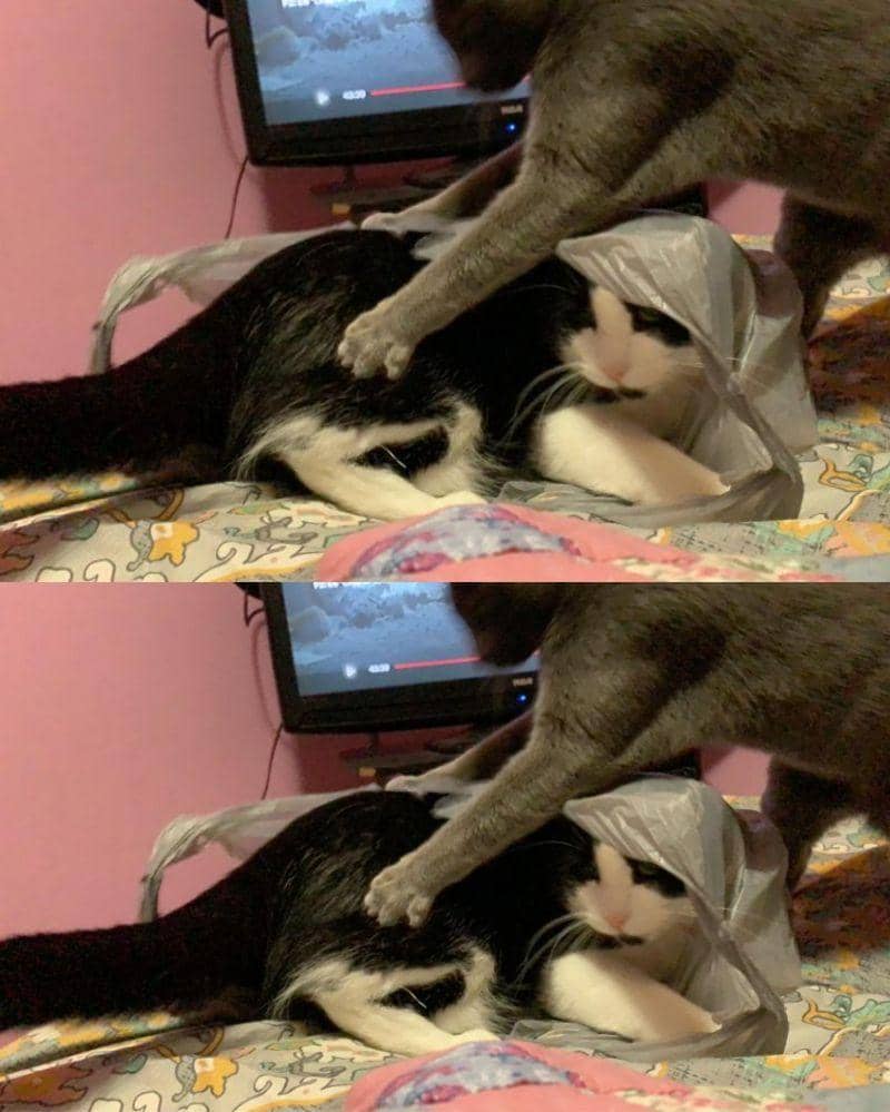 reddit.com/rollercoaster-jpg)