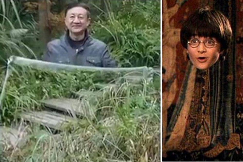 nzherald.co.nz, csmonitor.com