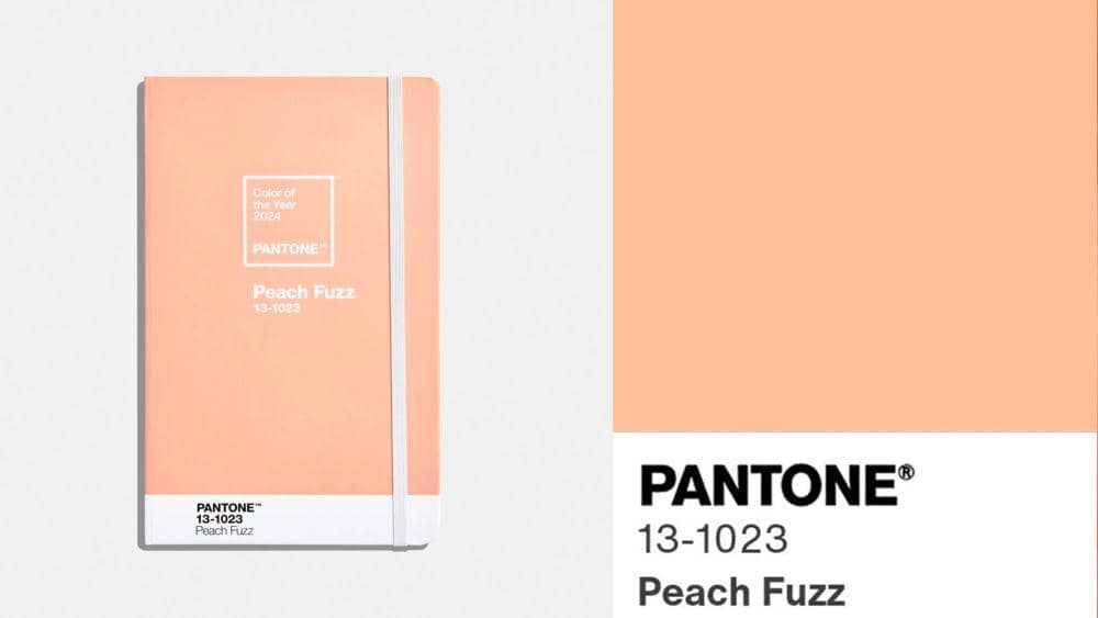 ilustrasi warna Peach Fuzz 
