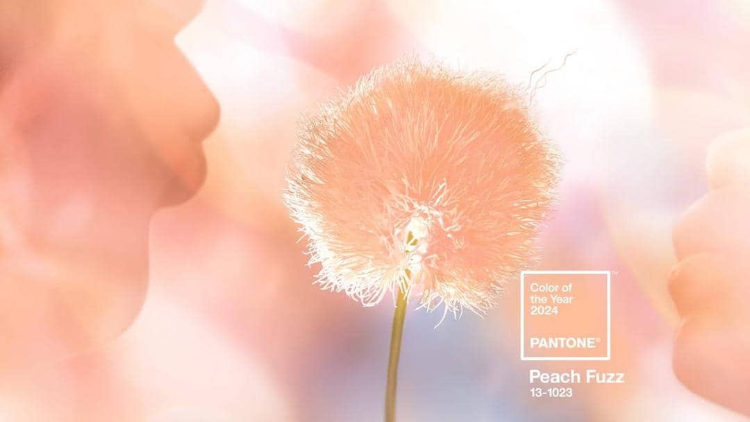 Pantone.com