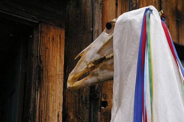 teifidancer-teifidancer.blogspot.com