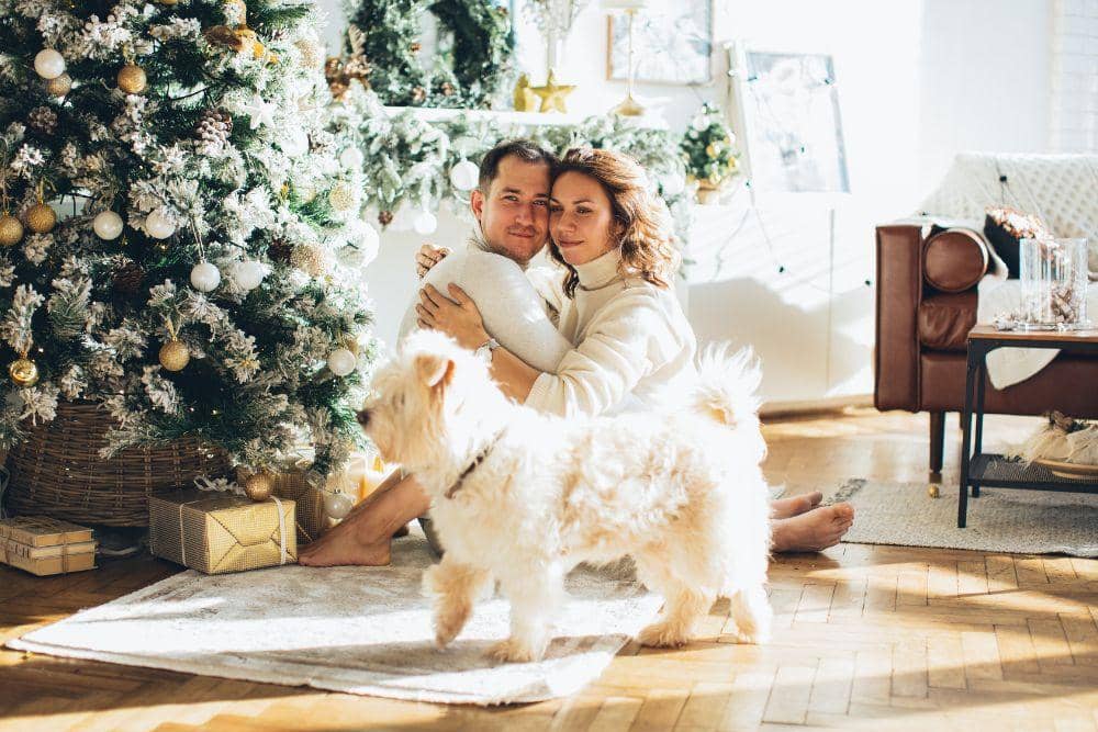 pexels.com/elina-fairytale