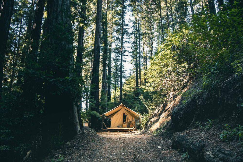 10 Rekomendasi Glamping Ciwidey Beserta Harga, Mulai dari Rp500 Ribu