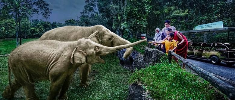 singapore-tickets.com