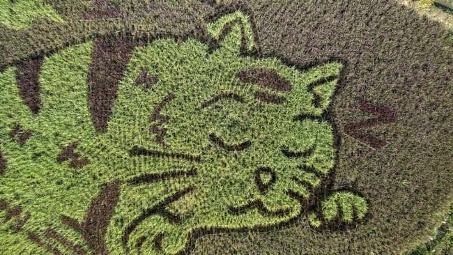 Reuters.com/Nappat Wesshasartar