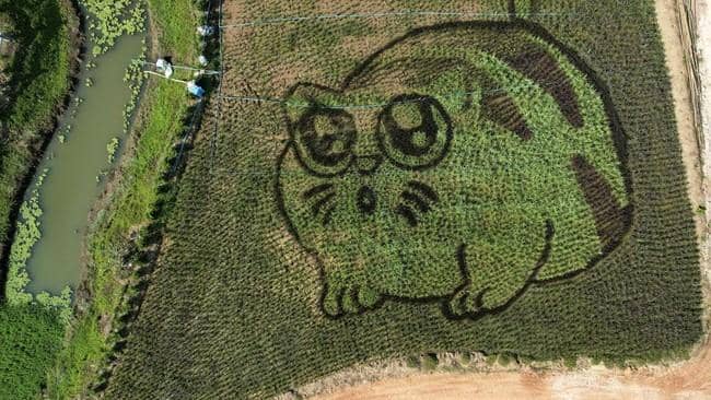 Reuters.com/Nappat Wesshasartar