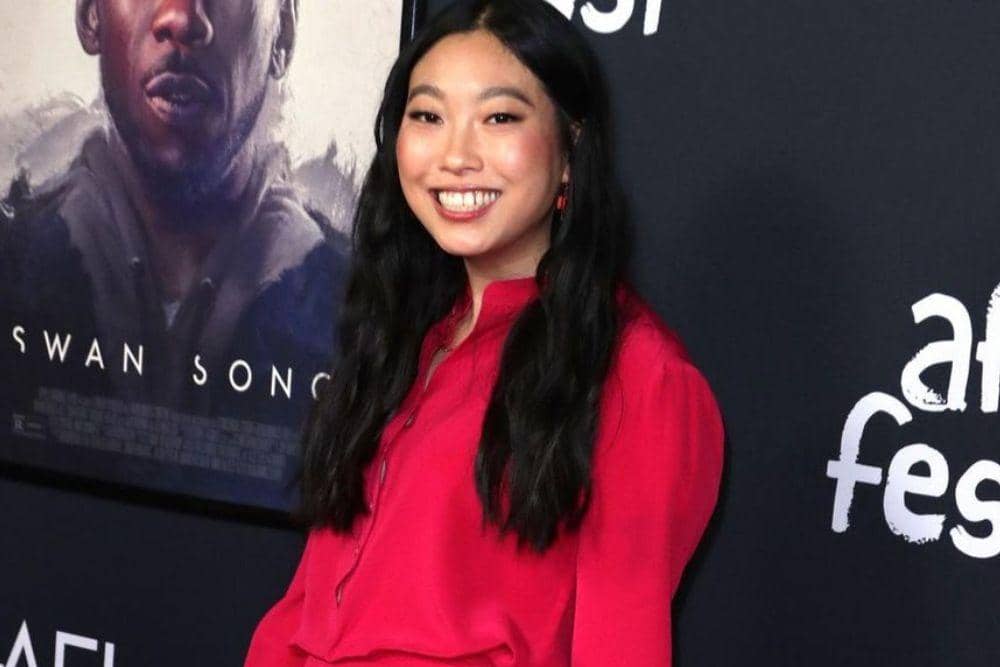 instagram.com/awkwafina